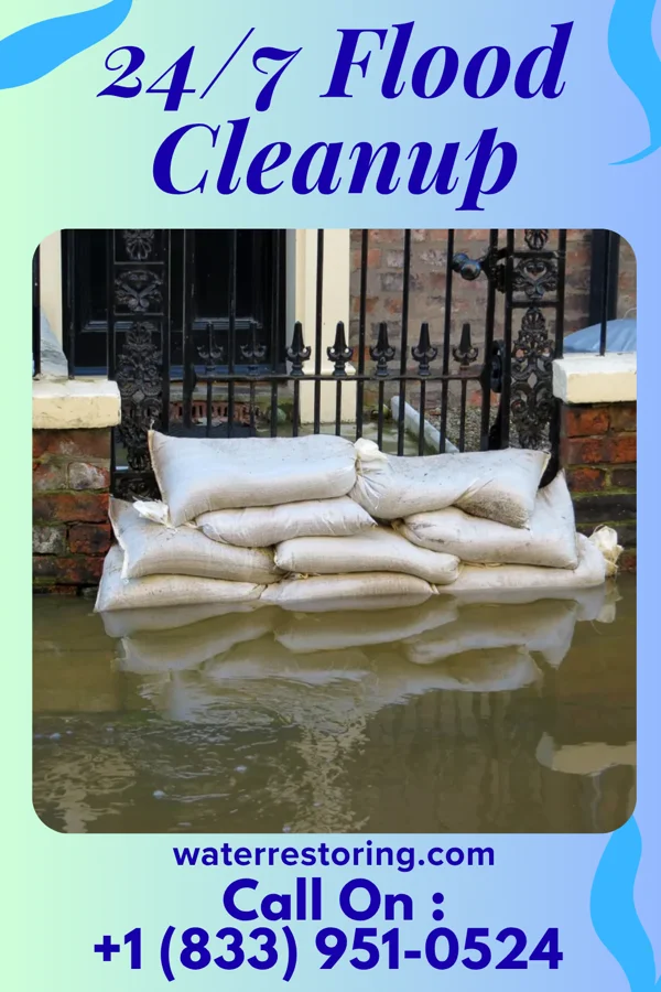 24/7 Flood Cleanup in Clarksdale, MS