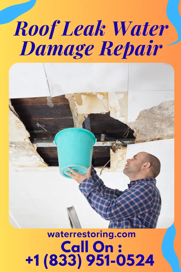 Roof Leak Water Damage Repair in Clarksdale, MS